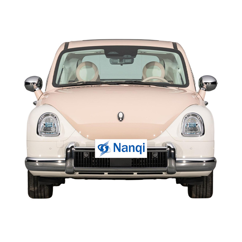 ORA Ballet Cat 500 km Véhicule électrique pur 5 portes 5 sièges Hatchback