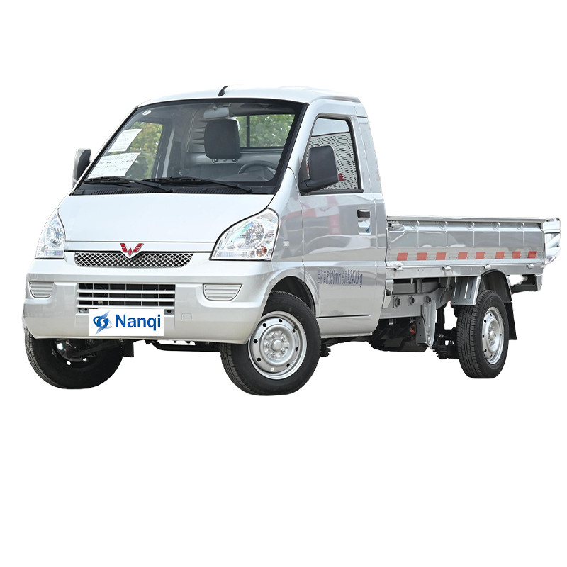 Wuling Rongguang mini camion électrique 2 portes 2 places rangée simple confortable