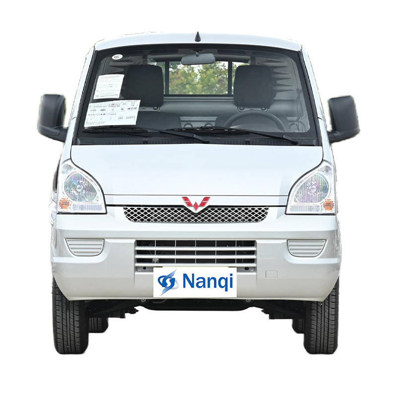 Wuling Rongguang mini camion électrique 2 portes 2 places rangée simple confortable