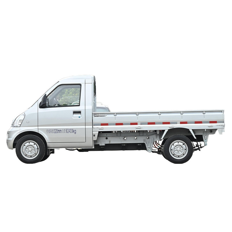 Wuling Rongguang mini camion électrique 2 portes 2 places rangée simple confortable